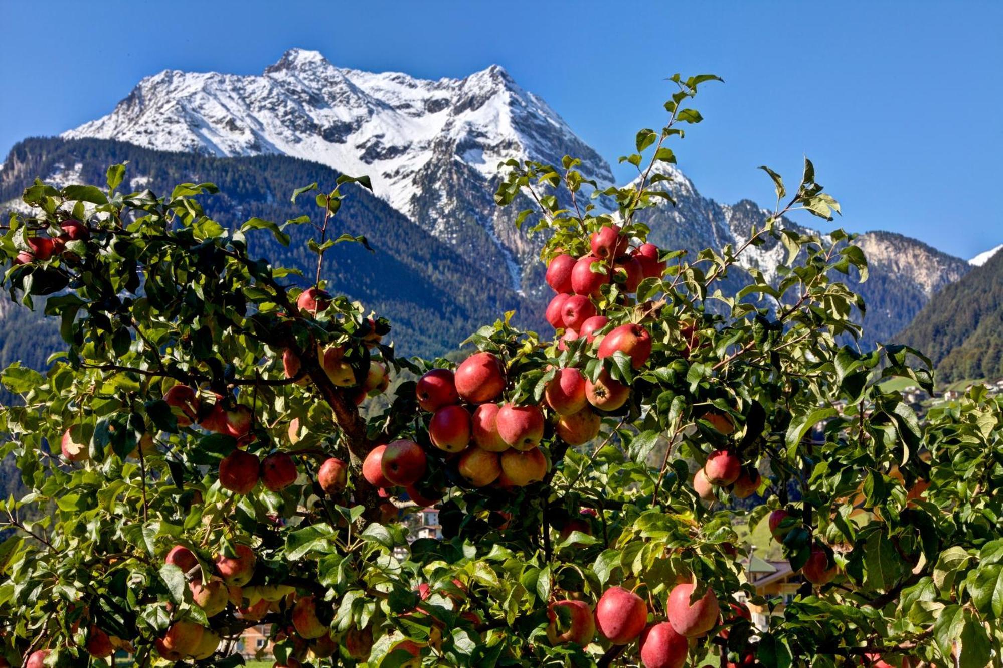Gaestehaus Oblasser Mayrhofen Kültér fotó