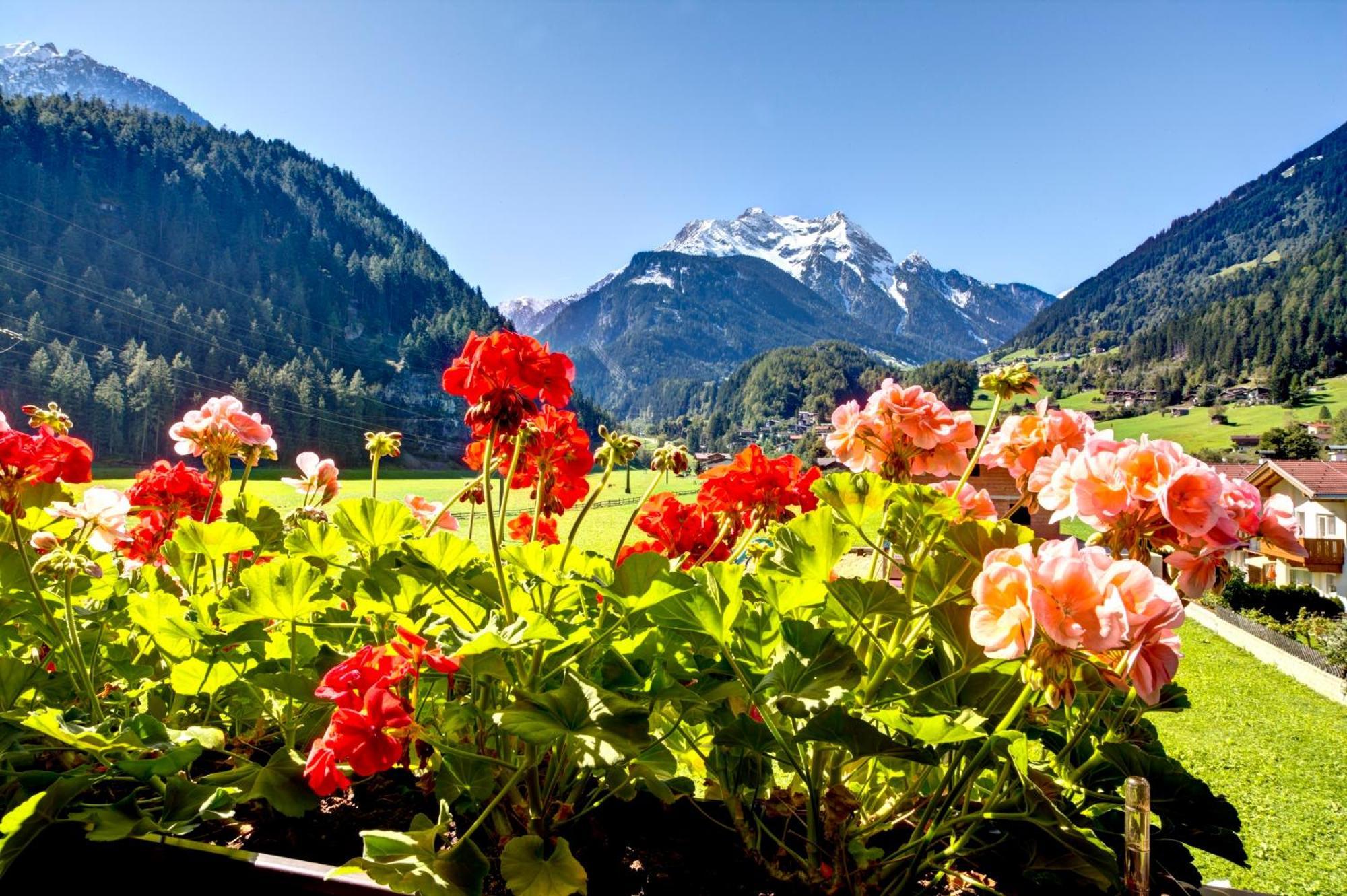 Gaestehaus Oblasser Mayrhofen Kültér fotó